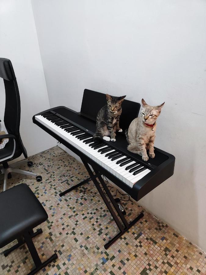 Digital Nomad House Kl Bukit Bintang - 24&7 Coworking Access Included Apartemen